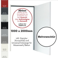 D65 OD Mehrzwecktür, 1000 x 2000mm Eckzarge - 8 Vorzugsfarben