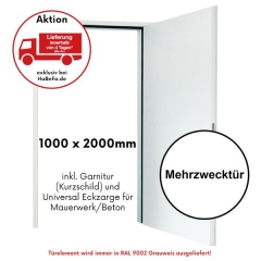 D65 OD Mehrzwecktür, 1000 x 2000mm mit Eckzarge - Lieferung in 4 Tagen