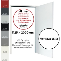 D65 OD Mehrzwecktür, 1125 x 2000mm Eckzarge - 8 Vorzugsfarben