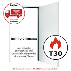 T30-1 H3 OD Brandschutztür von Hörmann, 1000 x 2000mm mit Eckzarge - Lieferung in 4 Tagen 