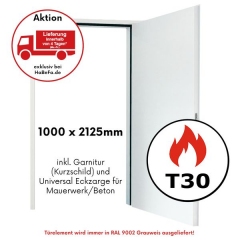 T30-1 H3 OD Brandschutztür von Hörmann, 1000 x 2125mm mit Eckzarge - Lieferung in 4 Tagen 