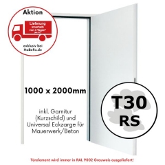 T30/RS H3 OD Brand- und Rauchschutztür, Breite 1000 und Höhe 2000 oder 2125 mm mit Eckzarge - In 4 Tagen geliefert 